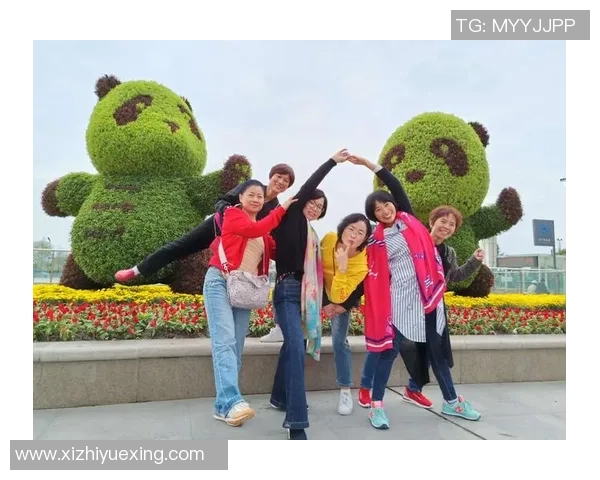 成都乒乓球队实力解析：从训练到比赛的全方位探讨与展望